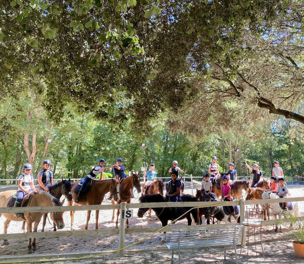Balade à cheval en groupe