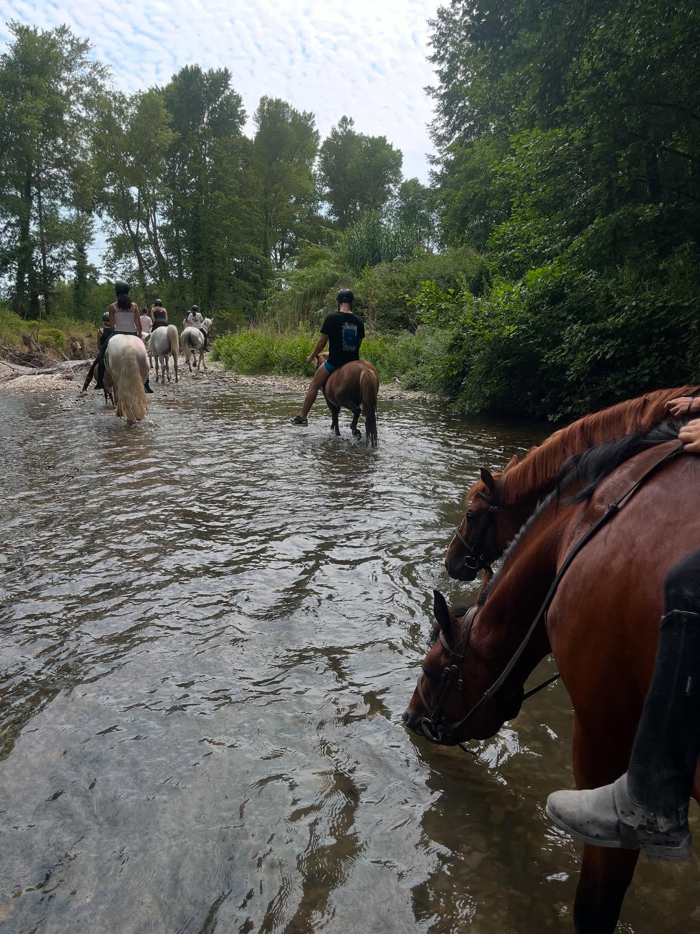Balade à cheval dans l’eau en pleine nature